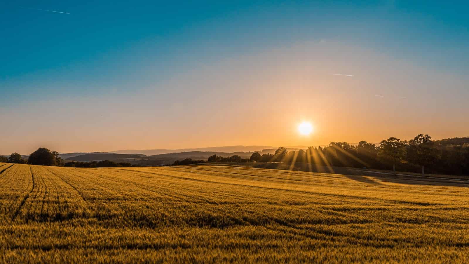 Confidential Land Value Opinions Across Texas Growth Markets