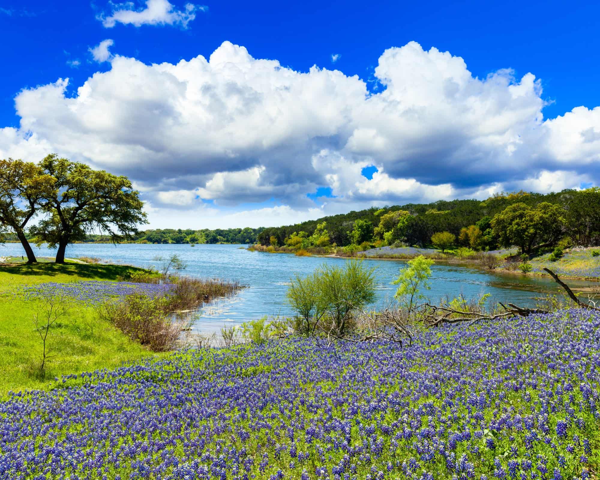 Off-Market Land in Hill Country / New Braunfels / Seguin