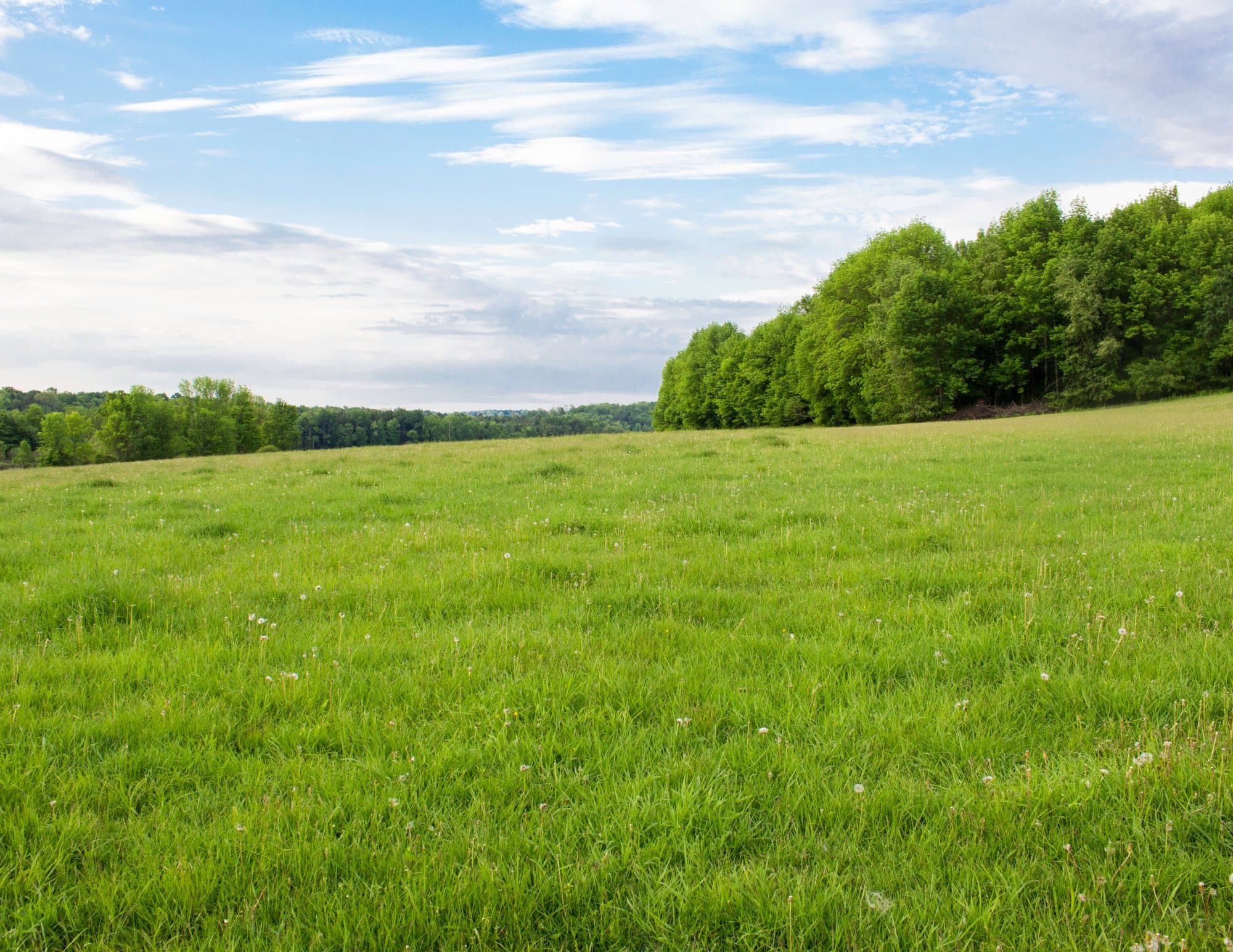 Investor Sourcing & Partnership