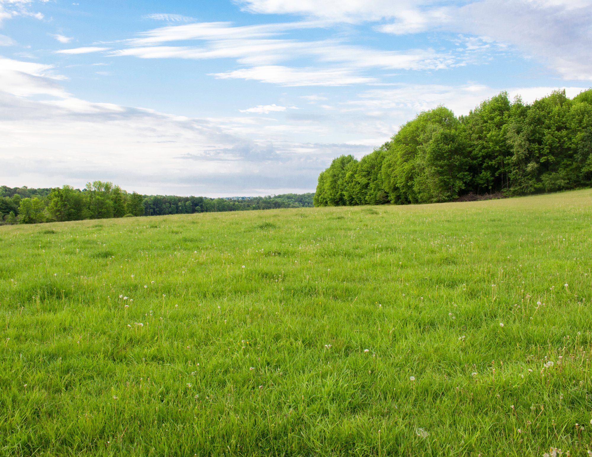 Power Land Group Leadership